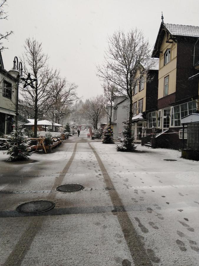 Ferienwohnung Pirkl Goslar Luaran gambar