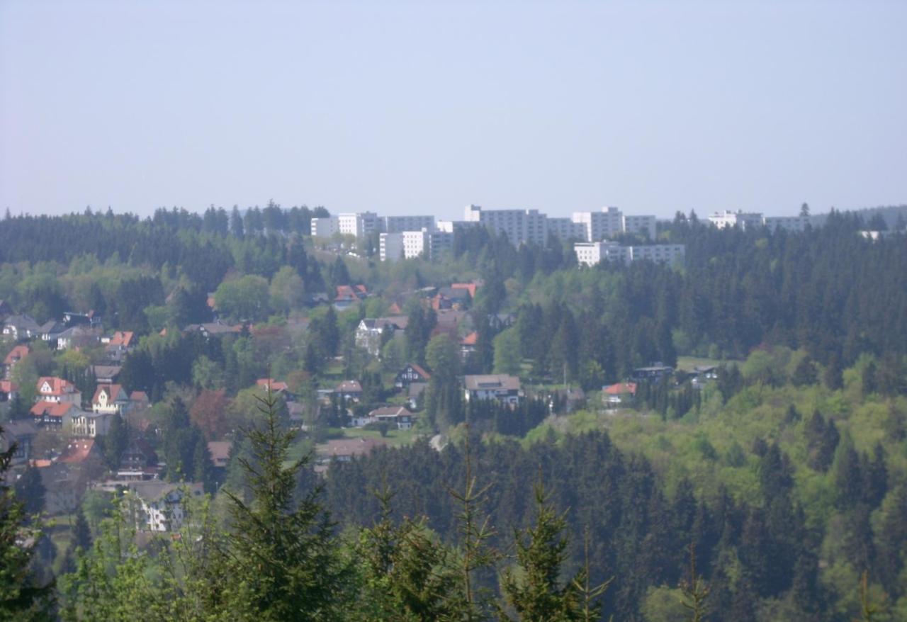 Ferienwohnung Pirkl Goslar Luaran gambar